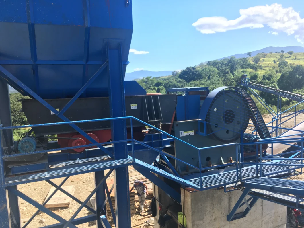 580mm vibrierendes Modell Large Capacity, vibrierender Schirm-Zufuhr der Trichter-Zufuhr-Maschinen-ZSW1149 2